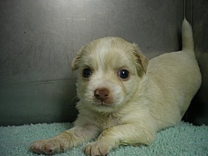 神奈川県横浜市　戸塚区　泉区　瀬谷区　旭区　都筑区　港北区　湘南　江ノ島　藤沢