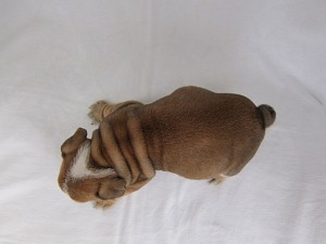 ブルドッグ　ブリーダー　子犬販売の専門店　AngelWan　横浜　シワ　中型犬　暑がり