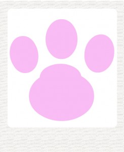 画像準備中　ブリーダー子犬販売専門店　Angel Wan 東京　神奈川　千葉