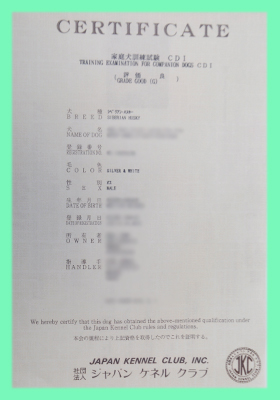 父犬　家庭犬訓練試験証書　CD1　子犬販売の専門店　AngelWan　横浜