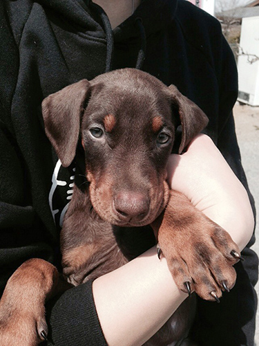 最近の写真です！