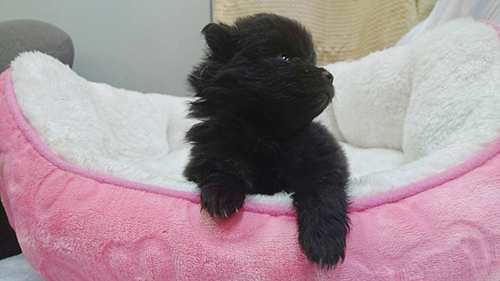 はじめまして！