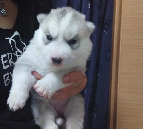 生後２週間。なんとママのご飯だってもりもり食べちゃいます！
