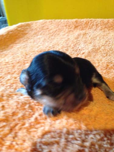 生まれたての頃、ちっちゃい！