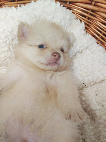 まだ、ねむ〜ぃ!