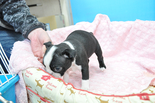 たくさんご飯食べて