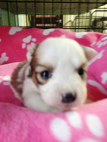 この場所お気に入り