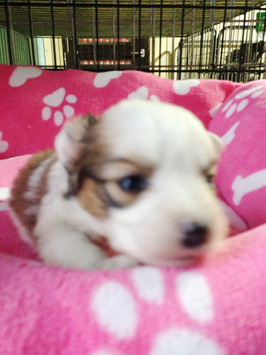 暖かくって柔らかくって