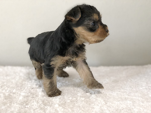 運動も大好き！