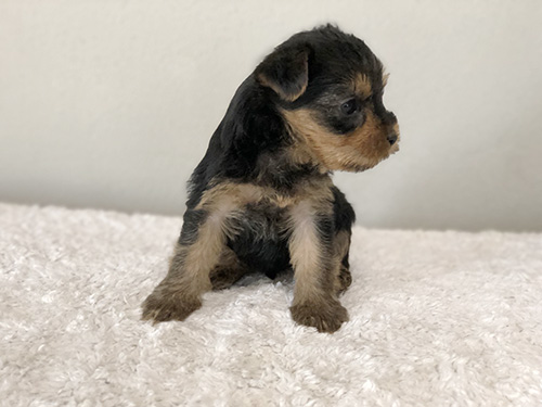 元気に育ってね！