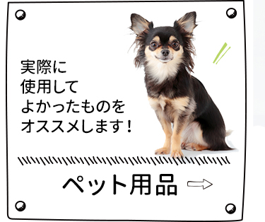 ペット用品 実際に使用してよかったものをオススメします！