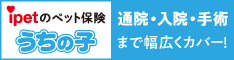 ipetのペット保険うちの子通院・入院・手術まで幅広くカバー！