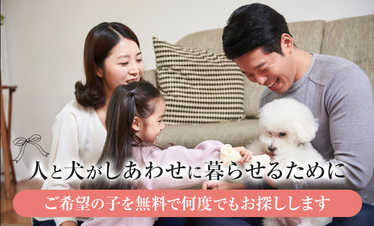人と犬がしあわせに暮らせるためにご希望の子を無料で何度でもお探しします