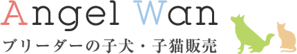 ブリーダーの子犬・子猫販売★AngelWan★