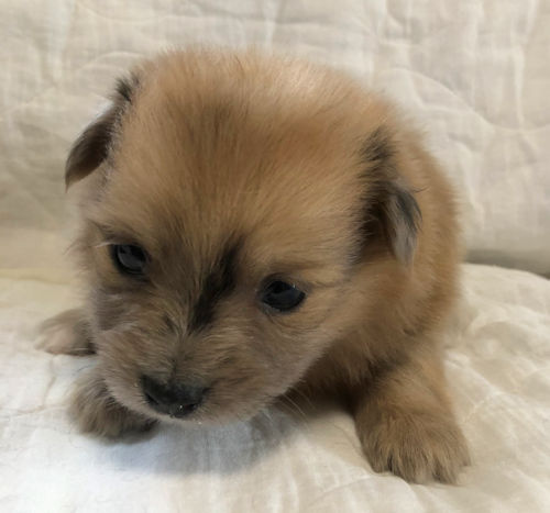 東京　神奈川　茨城　千葉　埼玉　群馬　栃木